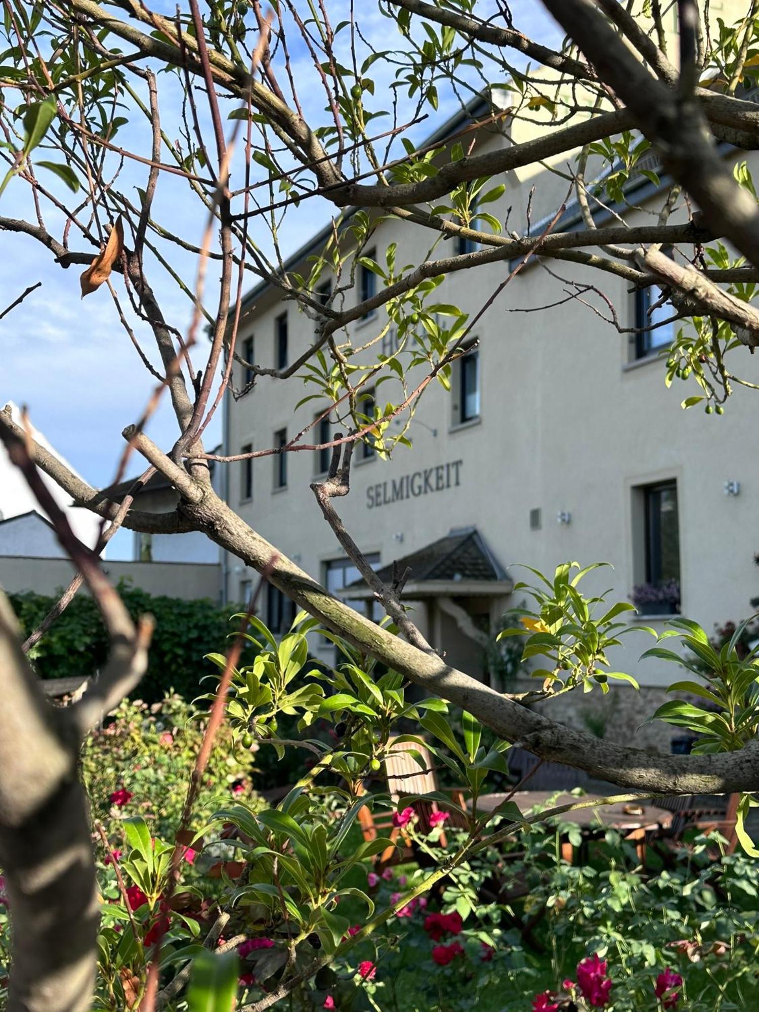 Weinhaus Selmigkeit Hotel Bingen am Rhein Exterior photo
