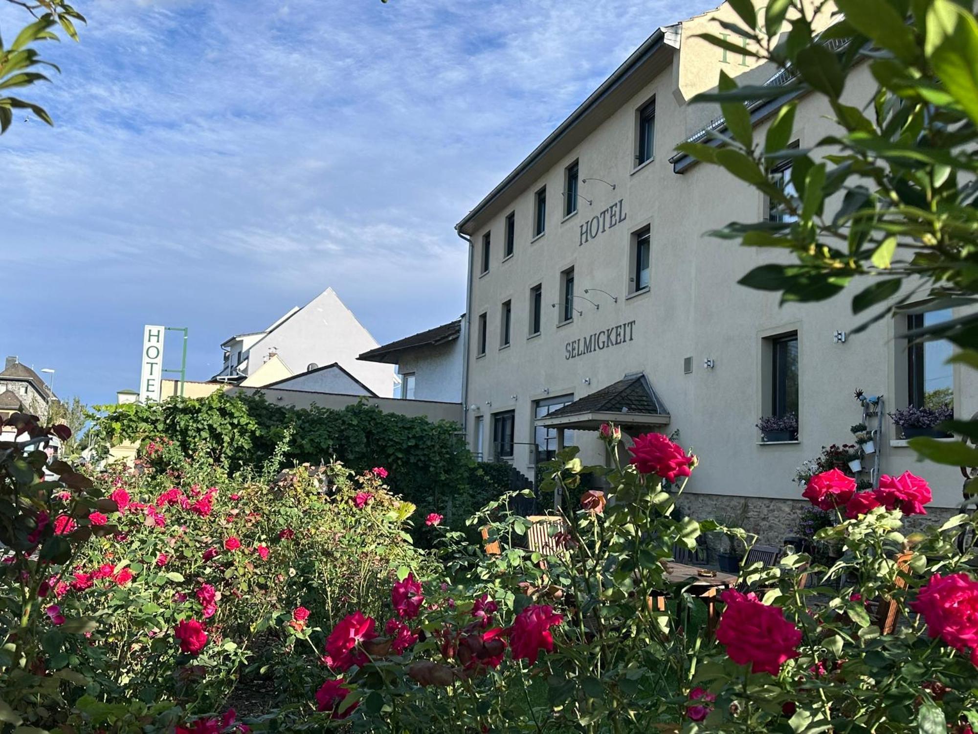 Weinhaus Selmigkeit Hotel Bingen am Rhein Exterior photo