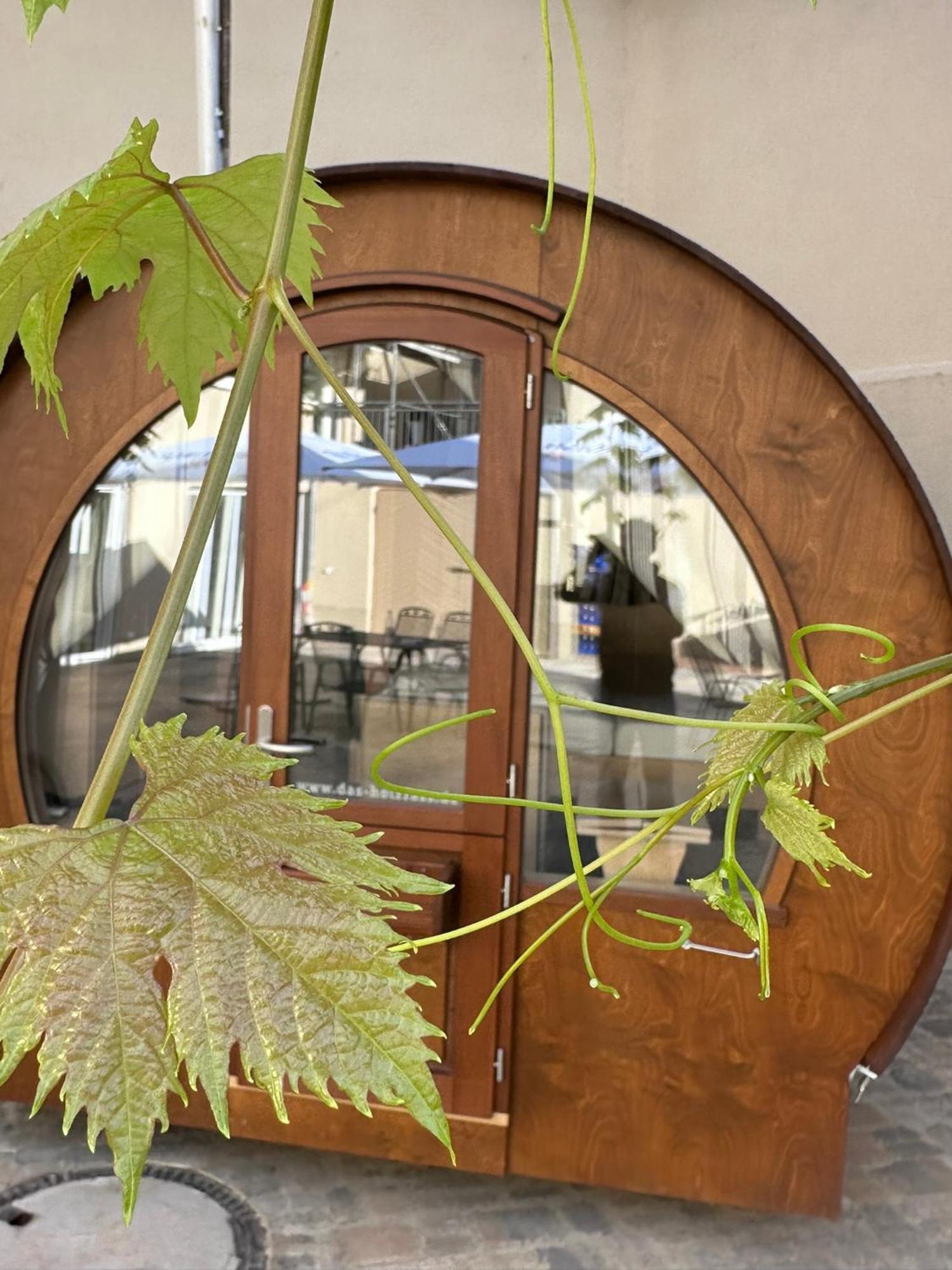 Weinhaus Selmigkeit Hotel Bingen am Rhein Exterior photo